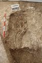 Thumbnail of Photo 15398 Skeleton 606982