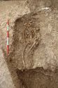 Thumbnail of Photo 15399 Skeleton 606982 no board