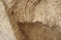 Thumbnail of Photo 15400 Skeleton 606982 truncation