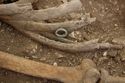 Thumbnail of Photo 15406 Skeleton 606982 Copper ring SF1208 no board