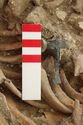 Thumbnail of Photo 15407 Skeleton 606982 Copper brooch SF2107