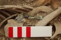 Thumbnail of Photo 15411 Skeleton 606982 Copper brooch SF2106