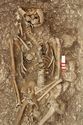 Thumbnail of Photo 15413 Skeleton 606982 abdomen