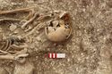 Thumbnail of Photo 15414 Skeleton 606982 skull