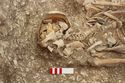 Thumbnail of Photo 15416 Skeleton 606982 skull
