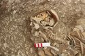 Thumbnail of Photo 15417 Skeleton 606982 skull no board