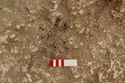 Thumbnail of Photo 15696 Skeleton 607033 charcoal deposit