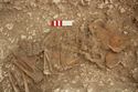 Thumbnail of Photo 15697 Skeleton 607033 abdomen