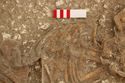 Thumbnail of Photo 15698 Skeleton 607033 ribs