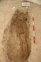 Thumbnail of Photo 15867 Skeleton 605413
