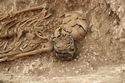 Thumbnail of Photo 16095 Skeleton 605413 Copper bucket SF1314