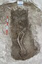 Thumbnail of Photo 16112 Skeleton 605389