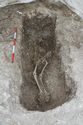 Thumbnail of Photo 16113 Skeleton 605389 no board