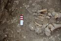 Thumbnail of Photo 16115 Skeleton 605389 feet