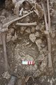 Thumbnail of Photo 16117 Skeleton 605389 chest