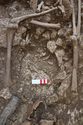 Thumbnail of Photo 16118 Skeleton 605389 chest detail