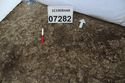 Thumbnail of Photo 16768 Skeleton 607282
