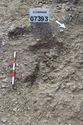 Thumbnail of Photo 16828 Skeleton 607393