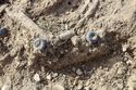 Thumbnail of Photo 16836 Skeleton 607282 glass beads SF1456, SF1467 to SF1471 no board