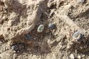Thumbnail of Photo 16837 Skeleton 607282 glass beads SF1456, SF1467 to SF1471