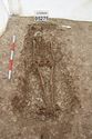 Thumbnail of Photo 17390 Skeleton 605279 working shot, sword lift