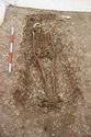 Thumbnail of Photo 17391 Skeleton 605276