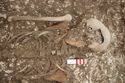Thumbnail of Photo 17397 Skeleton 605276 chets