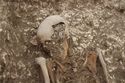 Thumbnail of Photo 17399 Skeleton 605276 skull