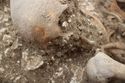 Thumbnail of Photo 17401 Skeleton 605276 skull, detail front
