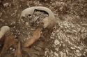 Thumbnail of Photo 17406 Skeleton 605276 skull, detail side