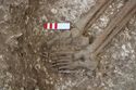 Thumbnail of Photo 17676 Skeleton 605207 Iron object
