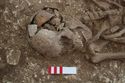 Thumbnail of Photo 17677 Skeleton 605207 skull