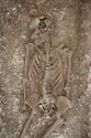 Thumbnail of Photo 17678 Skeleton 605207 torso