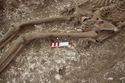 Thumbnail of Photo 17998 Skeleton 605207 upper leg and pelvis, detail of mark