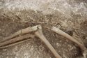 Thumbnail of Photo 18004 Skeleton 607408 plough damage