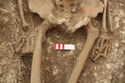 Thumbnail of Photo 18006 Skeleton 607408 pelvis