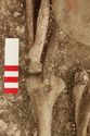 Thumbnail of Photo 18011 Skeleton 607408 knife SF133