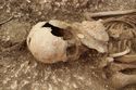 Thumbnail of Photo 18014 Skeleton 607408 shield boss and torso, overhead no board
