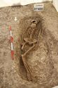 Thumbnail of Photo 18296 Skeleton 607408