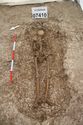Thumbnail of Photo 18299 Skeleton 607418
