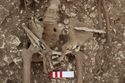 Thumbnail of Photo 18303 Skeleton 607418 pelvis