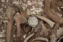Thumbnail of Photo 18308 Skeleton 607411 brooch