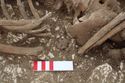 Thumbnail of Photo 18309 Skeleton 607411 buckle by right hip