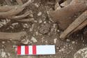 Thumbnail of Photo 18311 Skeleton 607411 buckle by right hip