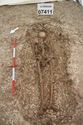 Thumbnail of Photo 18312 Skeleton 607411