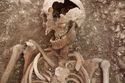 Thumbnail of Photo 18459 Skeleton 607408 shield boss