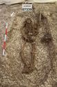 Thumbnail of Photo 18463 Skeleton 607319