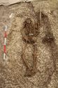 Thumbnail of Photo 18464 Skeleton 607319 no board
