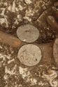 Thumbnail of Photo 18466 Skeleton 607319 shield boss fittings, detail