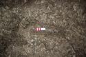 Thumbnail of Photo 18763 Skeleton 607696 lower body